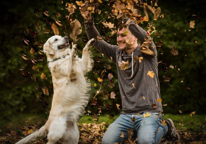 Beispielfoto Mann mit Hund bringt mehr Matches