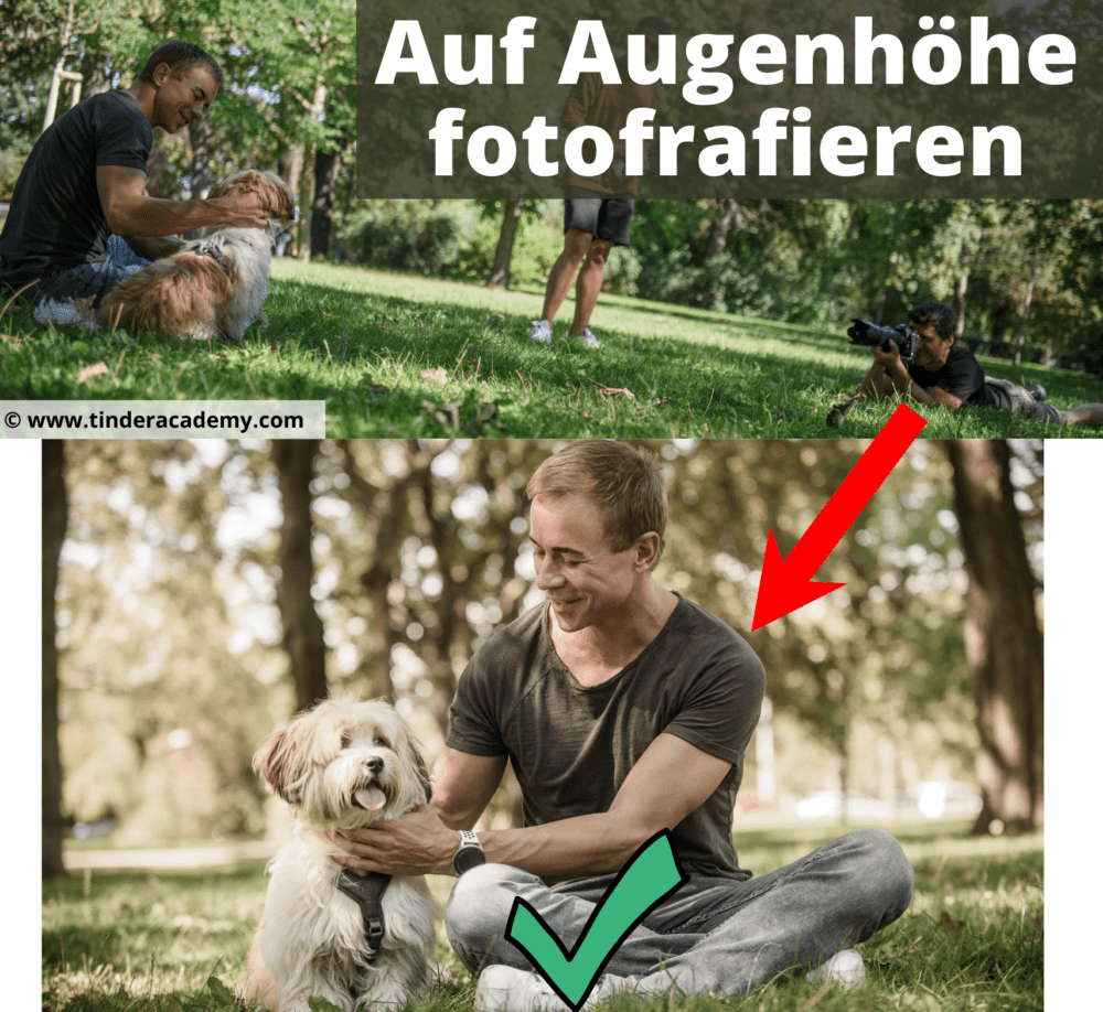 Bei Tinder Bildern mit Hunden immer auf Augenhöhe vom Hund fotografieren